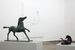 Renato Leotta - Museo: caballos y yeguas, caballos caballos