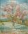 Vincent Van Gogh - Pink peach trees (Souvenir de Mauve)