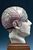 Anatomical model of head with phrenological chart
