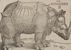 Albrecht Dürer - rhino