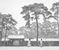Werner Bischof - Paesaggio dei Meiji shrine