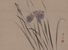 Mori Kansai - Some Irises in the wind