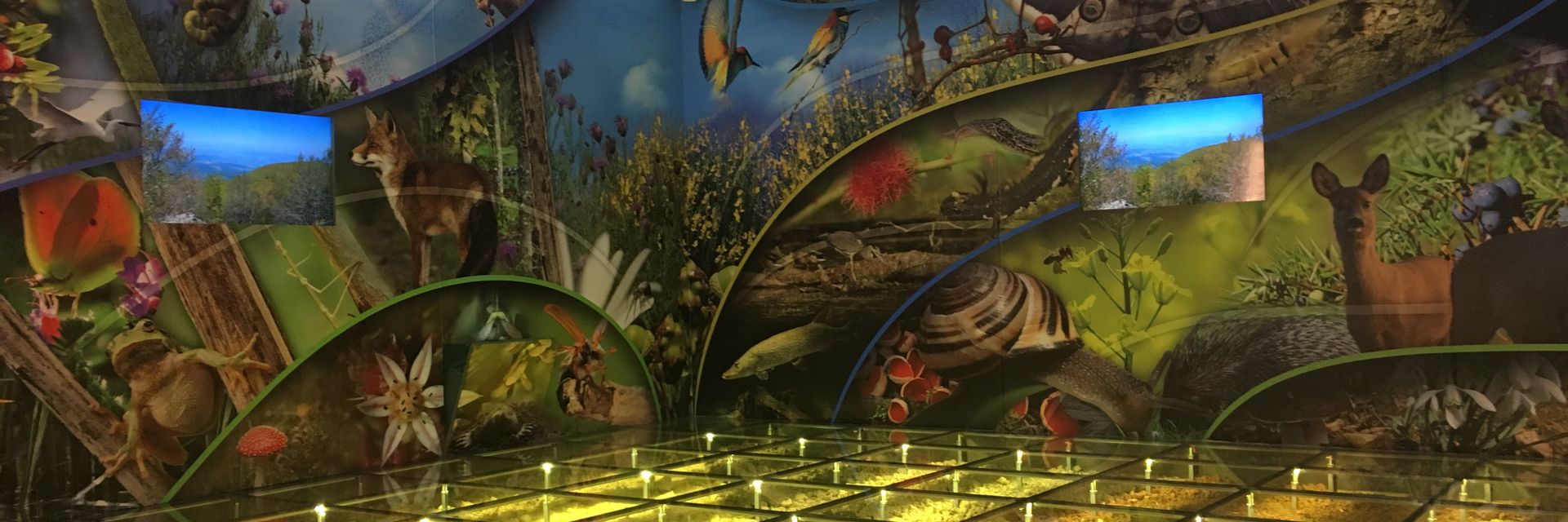Musée de la Biodiversité