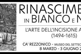 Ca 'Rezzonico - Museo del siglo XVIII veneciano