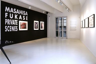 Masahisa Fukase. Private Scenes