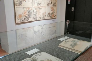 Japan: drawing and design.