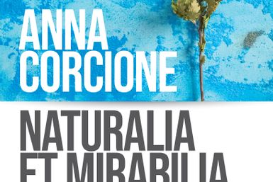 Anna Corcione - Naturalia et Mirabilia