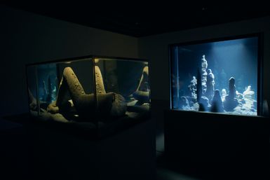 PIERRE HUYGHE