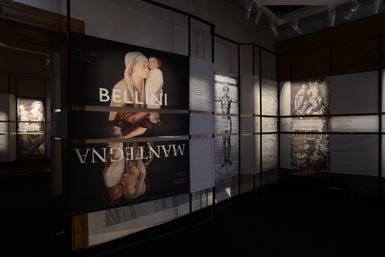 BELLINI - MANTEGNA. Masterpieces in comparison