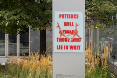 Patience Will Reward Those Who Lie in Wait