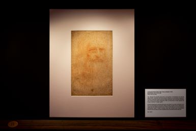 Face to face with Leonardo reveals the drawings of the genius da Vinci