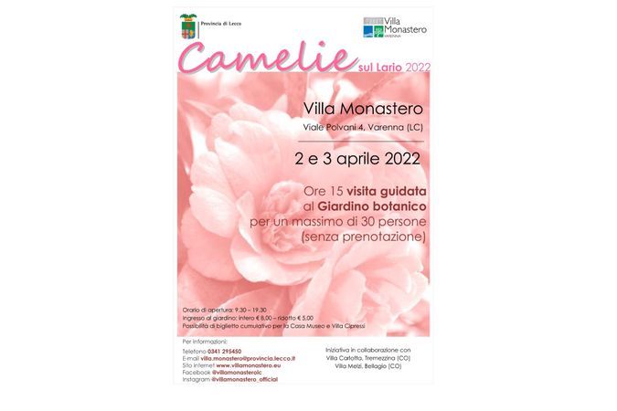 Camellias on the Lario 2022
