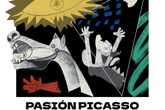 Leidenschaft Picasso