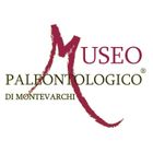 Logo : Paläontologisches Museum Montevarchi