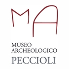 Logo : Archäologisches Museum in Peccioli