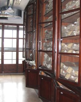 Herbarium-Museum