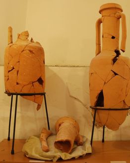 Civic Archaeological Museum of Orte