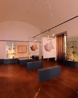 Civic Archaeological Museum Francesco Savini