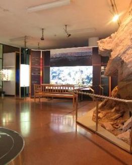 Museo de Ciencias Naturales del Tirol del Sur