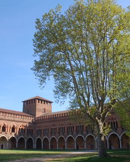 Museums of the Visconteo Castle