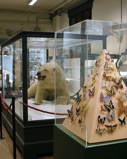 Museo de Historia Natural de Ferrara