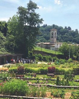 Orto botanico di Bergamo
