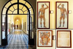 Museum der menschlichen Anatomie von Pisa