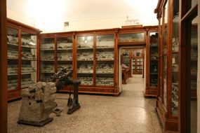 Musée des sciences naturelles Mellerio Rosmini