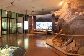 Musée des sciences naturelles du Tyrol du Sud