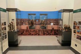 Museum für Anthropologie von Neapel