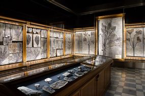 Museum of Geology and Paleontology of Padua