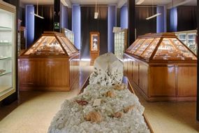 Museum für Mineralogie von Padua