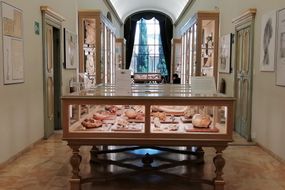 Luigi Cattaneo Anatomical Wax Collection