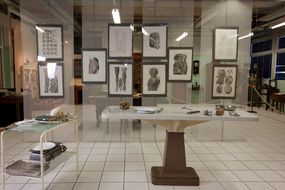 Musée anatomique Leonetto Comparini