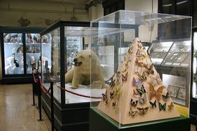 Museo de Historia Natural de Ferrara