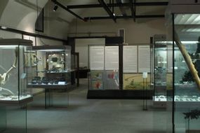 Archaeological Museum of the Sforzesco Castle