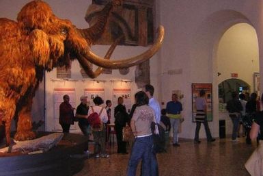 Enrico Caffi Civic Museum of Natural Sciences