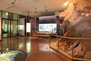 South Tyrol Museum of Natural Sciences