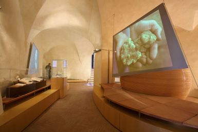 Museo y Centro de Documentación de la Trufa
