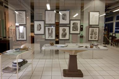 Leonetto Comparini Anatomisches Museum