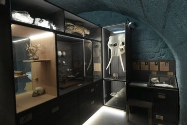 Museo de Besanzón