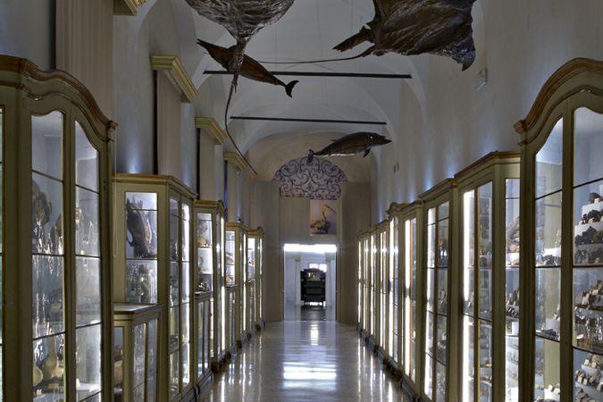 Museo Spallanzani _Ph.C.Vannini