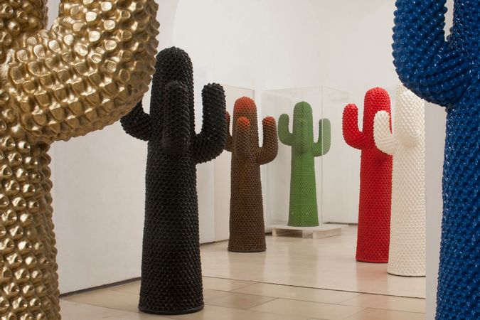 1 i) Cactus collection. Installation views.jpg