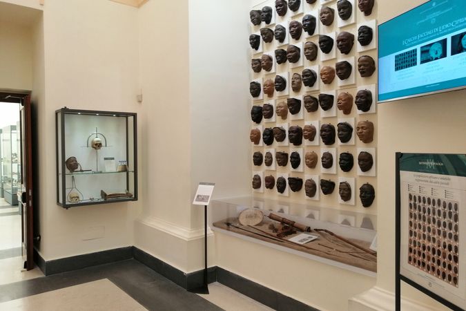 Sala Museo di Antropologia, vista del pannello Calchi facciali di  Lidio Cipriani.jpg