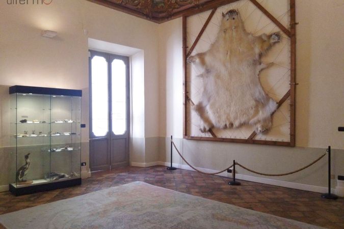 Musei scientifici di Palazzo Paccarone (6).jpg